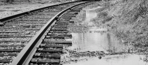 rrditch1.gif