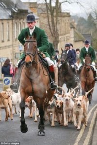 Fox hunting..jpg