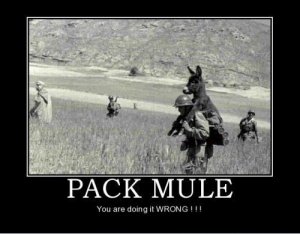 79547_pack_mule.jpg