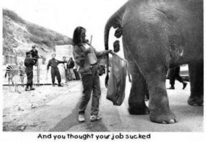 Manure job.jpg