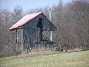 IMG_3265.jpg