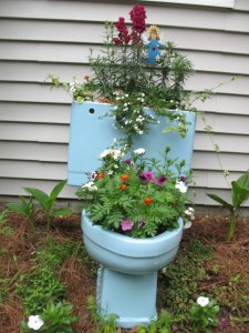 Toliet planter..jpg