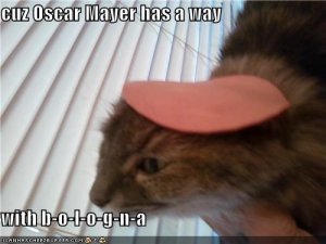 oscarmayer.jpg oscarmayer.jpg