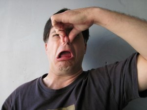 Stinky..jpg Stinky..jpg