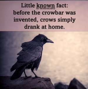 2D9B84FB-D42D-4238-888D-3C30E1643BD5.jpeg