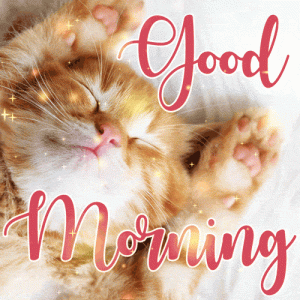 goodmorning-47.gif