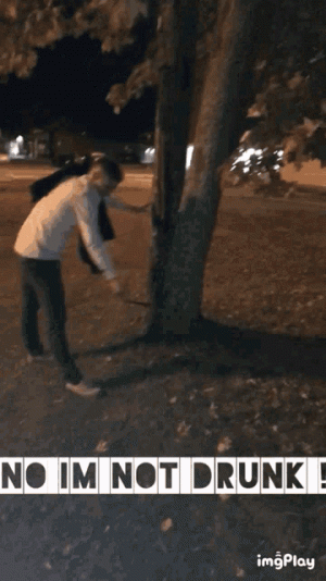 drunk-beer.gif