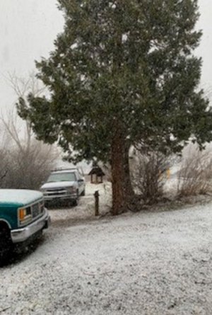 snow.jpg