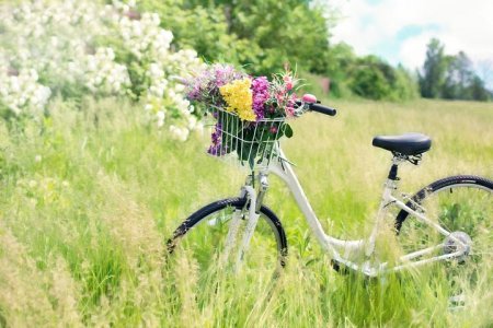 bicycle-788733__480.jpg