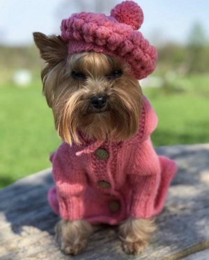 7783168f47447b61db59717c77fec7d0.jpg