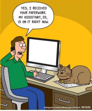 paperworked.jpg