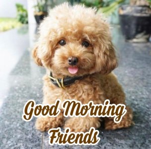 4CE52C0A-0AA1-4EDE-ABB1-3455ED1A89A4.jpeg