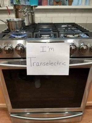 trans.jpg