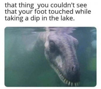 FB_IMG_1673996710626.jpg