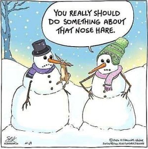 nosehair.jpg
