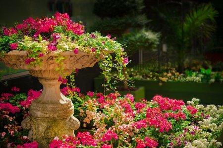 garden-670516__480.jpg