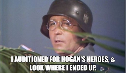 DD.JPG