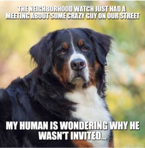 2023-01-20 08.49.15 .jpg