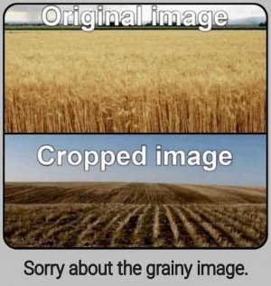 326071834_732223498142508_8141516815186283753_n.jpg