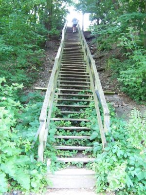 Belleville Stairs2.jpg