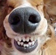 2 happy.jpg 2 happy.jpg