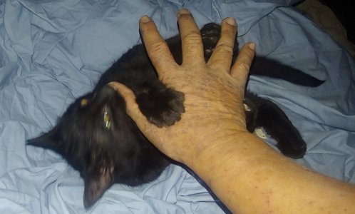 0120232134a~2.jpg 0120232134a~2.jpg