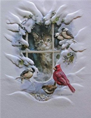 cat.jpg
