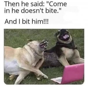 D3B6E2B9-4B1C-4412-B539-C464749058D0.jpeg