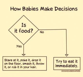 baby decisions.jpeg