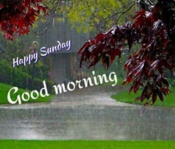 9AD84B4B-5A49-465C-BAF4-CAA25A6A908C.jpeg