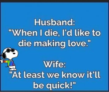quick.jpg