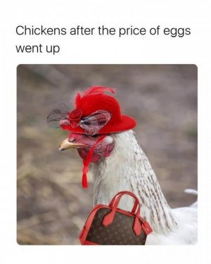 73C7E650-1A20-4824-87E9-09AA68A167F0.jpeg
