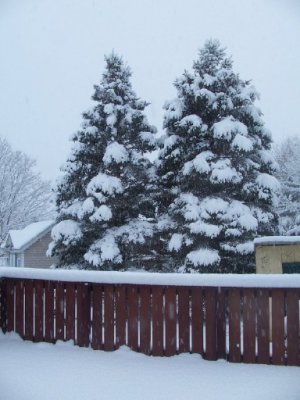 snow 1-23-23b.jpg