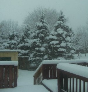 snow 1-23-23c.jpg