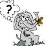 elephant question.jpg elephant question.jpg
