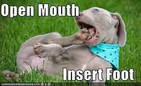 Open Mouth, Insert Foot