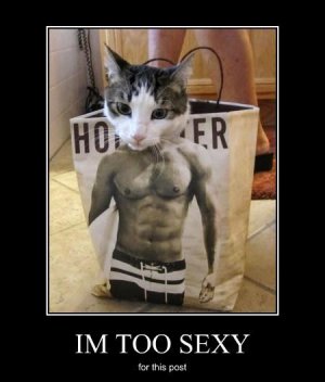 im-too-sexy.jpeg im-too-sexy.jpeg