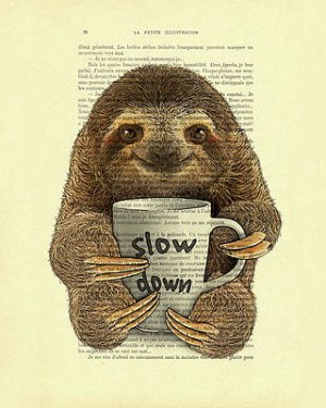 cute-baby-sloth-with-coffee-mug-slow-down-quote-madame-memento.jpg