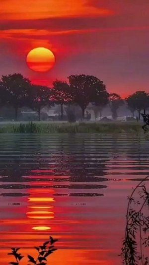 FB_IMG_1674502828952.jpg