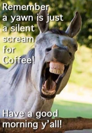 scream for coffee.jpg