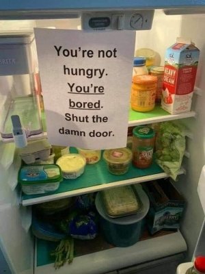 fridge.jpg