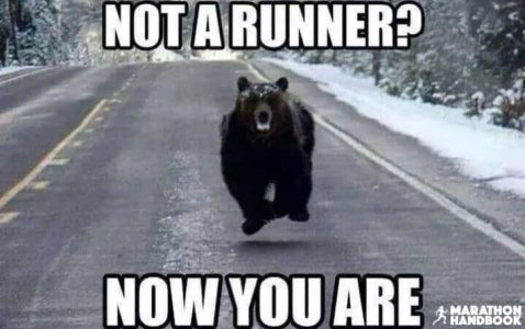 best-funny-running-memes.jpg