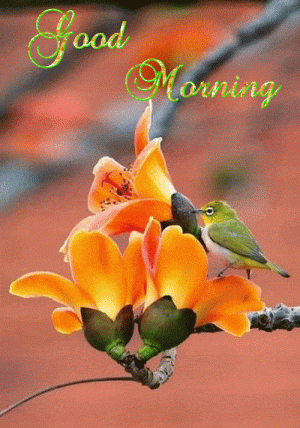 good-morning-gif-124.gif