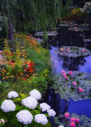 tumblr_7d3d17f5dfd13863b8e4a8670ab15fee_bd96152d_1280.jpg