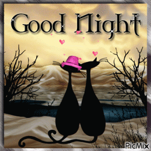 10-Very-Beautiful-Good-Night-Gifs-Greetings-And-Quotes-49215-2.gif
