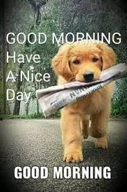 good morning 2.jpg