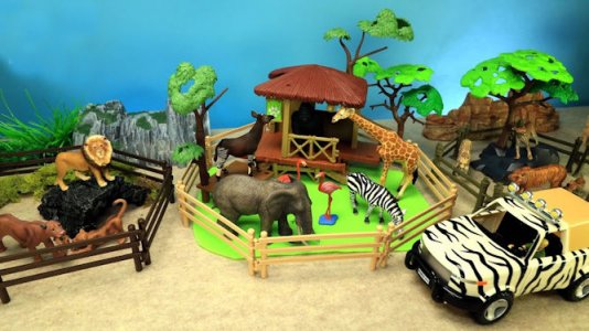 Zoo @.jpg