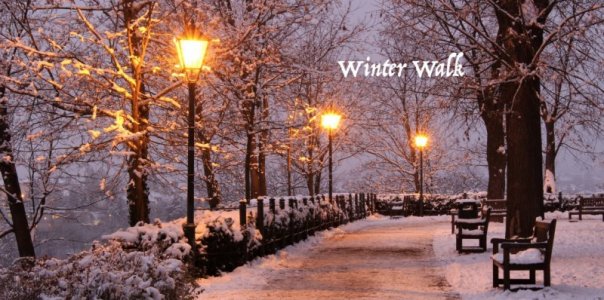 Winter Walk..jpg