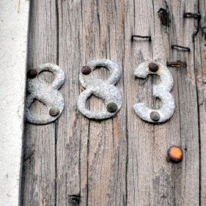 Number 883 @.jpg