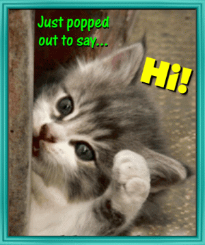 e5cc3da96beed9f2e4b370f51cd60239[1].gif